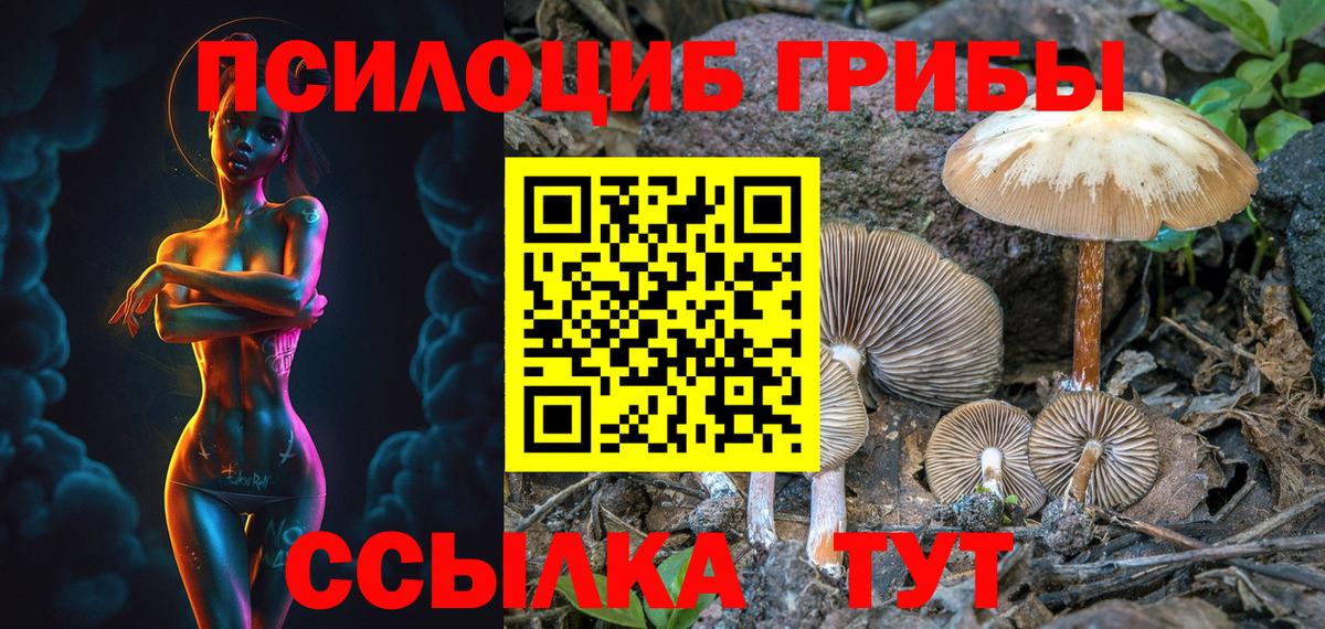 Галлюциногенные грибы Psilocybine cubensis Зеленогорск