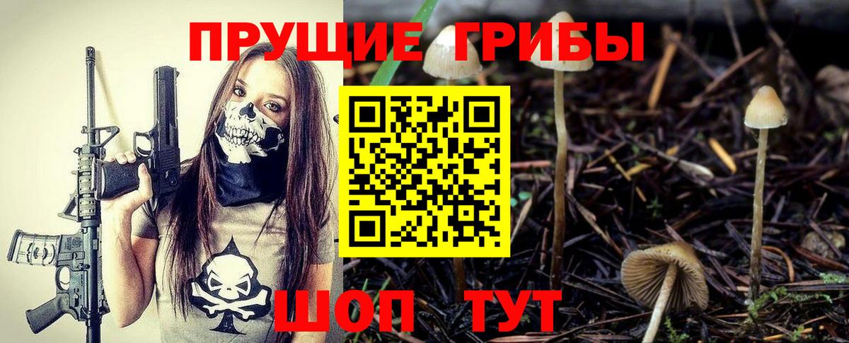 Псилоцибиновые грибы MAGIC MUSHROOMS  Вход с VPN  Зеленогорск  Псилоцибиновые грибы Cubensis 